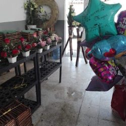 Floreria Ilse