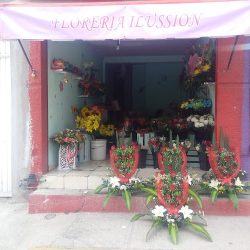 Floreria Ilusion