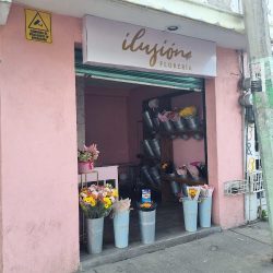Florería Ilusión - Tulipanes