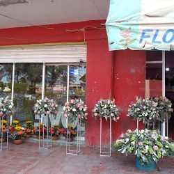 Floreria "imperial"