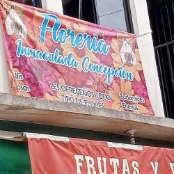 Floreria Inmaculada Concepcion