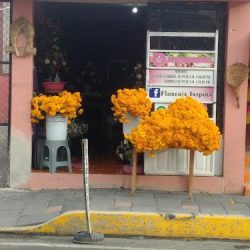 Floreria "inspira"
