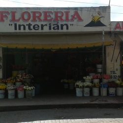 FlorerÍa InteriÁn