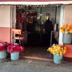 Florería Irapuato