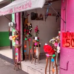 Florería Irazú