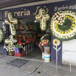 Floreria Iris