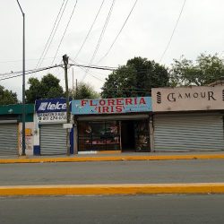 Floreria Iris