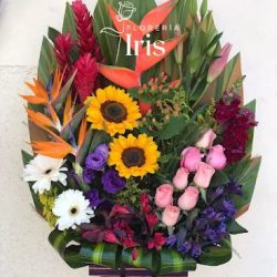 Florería Iris