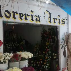 Florería "iris"
