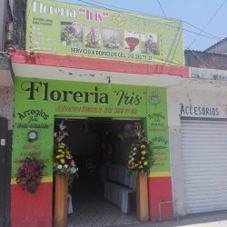 Floreria Iris