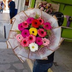 Florería Iris