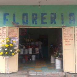 Floreria Iris