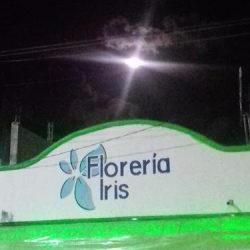 Florería Iris
