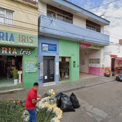Florería Iris