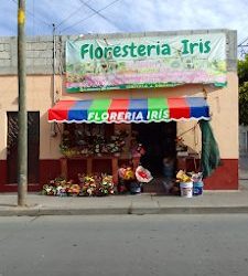 Florería Iris
