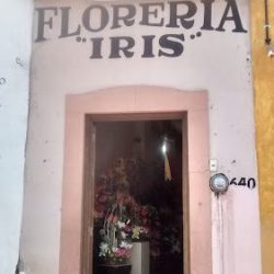 Floreria Iris