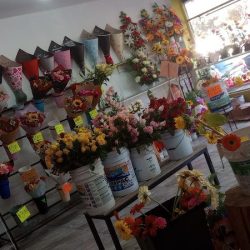 Florería Iris