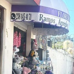 Floreria Iris