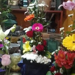 Florería Iris