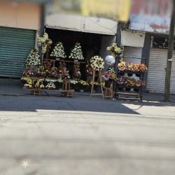 Florería Iris