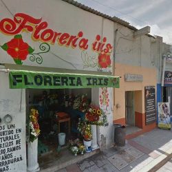 Floreria Iris