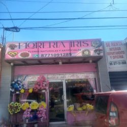 Floreria Iris Acuña