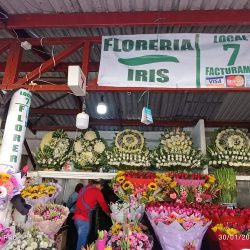Florería Iris Local 7