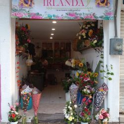 Floreria Irlanda