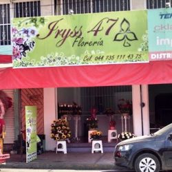 Floreria Iryss 47 Envia Flores A Domicilio