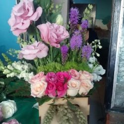Florería Isabel