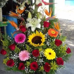 Florería Isabel
