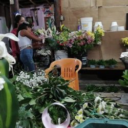 Florería Isabel