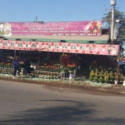 Floreria Isabel