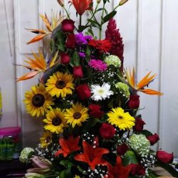 Florería Isabel