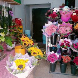Florería Iturbide