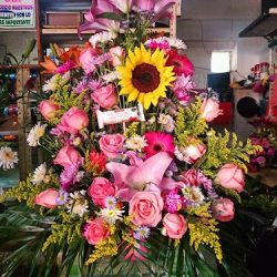 Floreria Itzaac