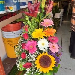 Florería Ixtlahuacan