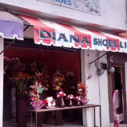 Florería Jafer
