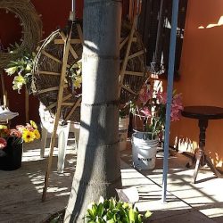 Floreria Jaqueline
