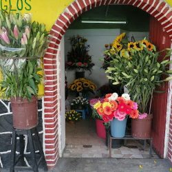 Florería Jardín
