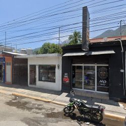 Floreria Jardin
