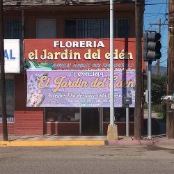 Floreria Jardin Del Eden