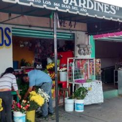 Floreria Jardines