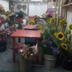 Floreria Jardines Del Rincón