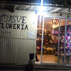 Floreria Jasve