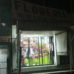 Floreria Javilu