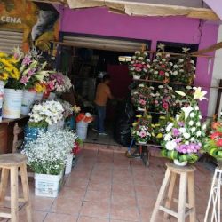 Florería Jazmín