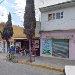 Floreria Jazmin