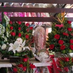 FlorerÍa JazmÍn