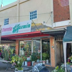 Florería Jazmín